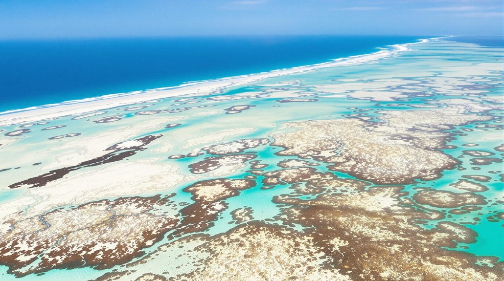 western australian coral bleaching